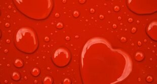 Red Heart Water Drops Art Wallpapers