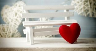 Red Heart White Bench Wallpapers