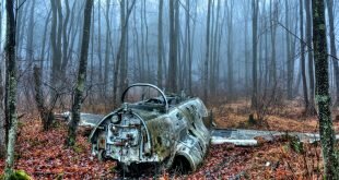 Wreckage in the forest Wallpapers