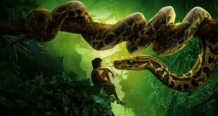 Jungle Book 2016 Movie Wallpaper