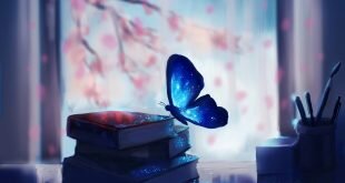 Magic Fly Books and Sakura Wallpaper