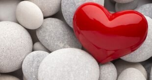 Red Heart and White Stones Love Wallpapers