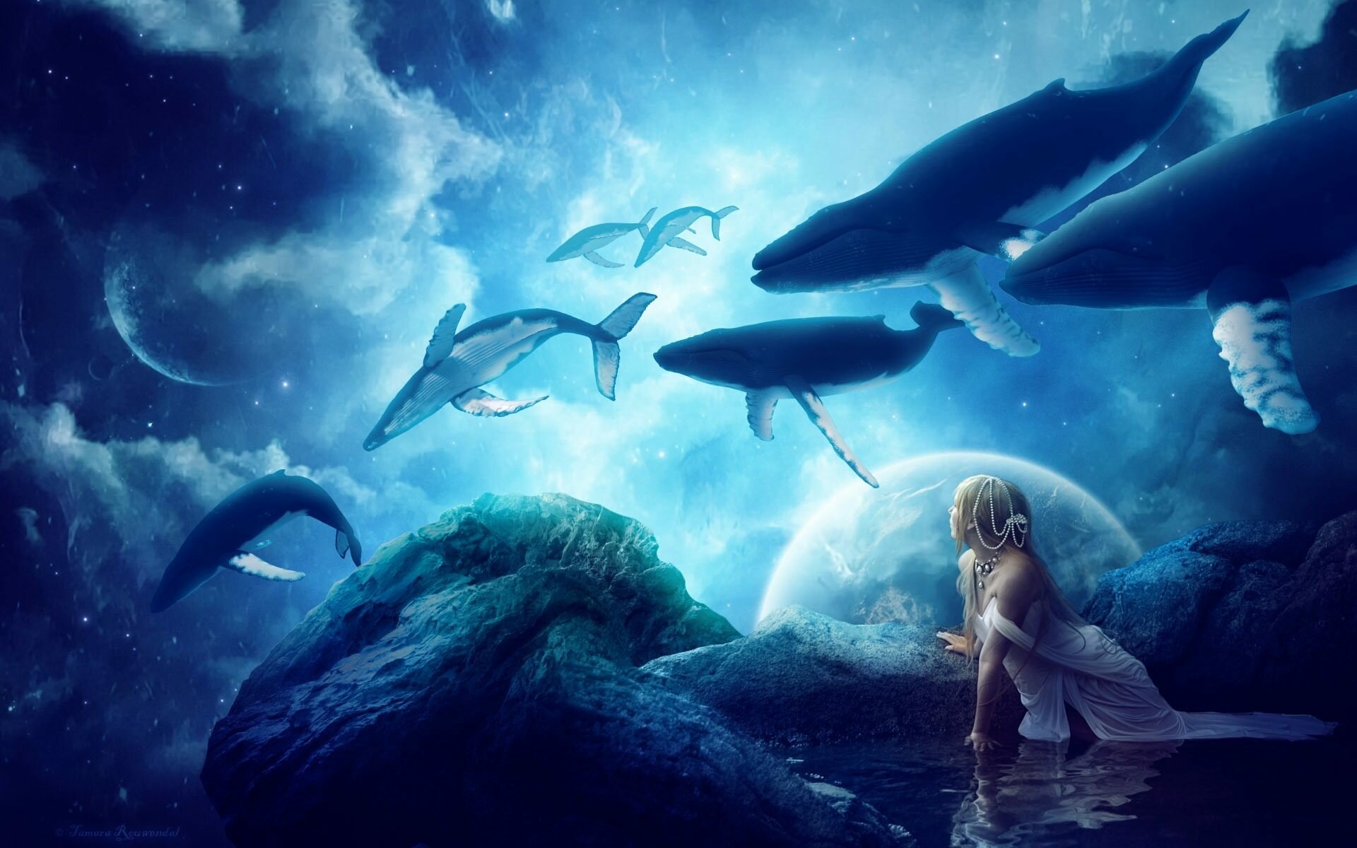 Whales Fantasy photo