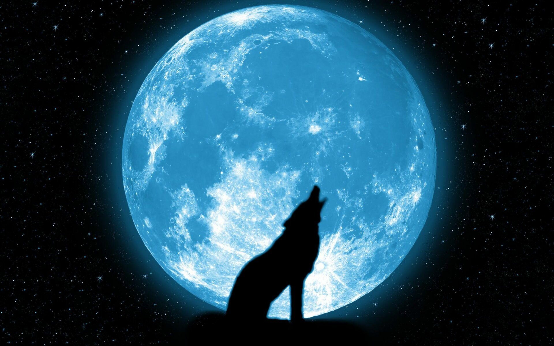 Wolf Howling Fantasy photo