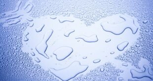 Heart of condensation on the glass Wallpaper