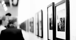 People art museum exhibition pictures vernissage Wallpaper