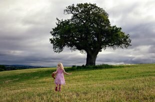 The little girl runs to the tree HD Wallpapers