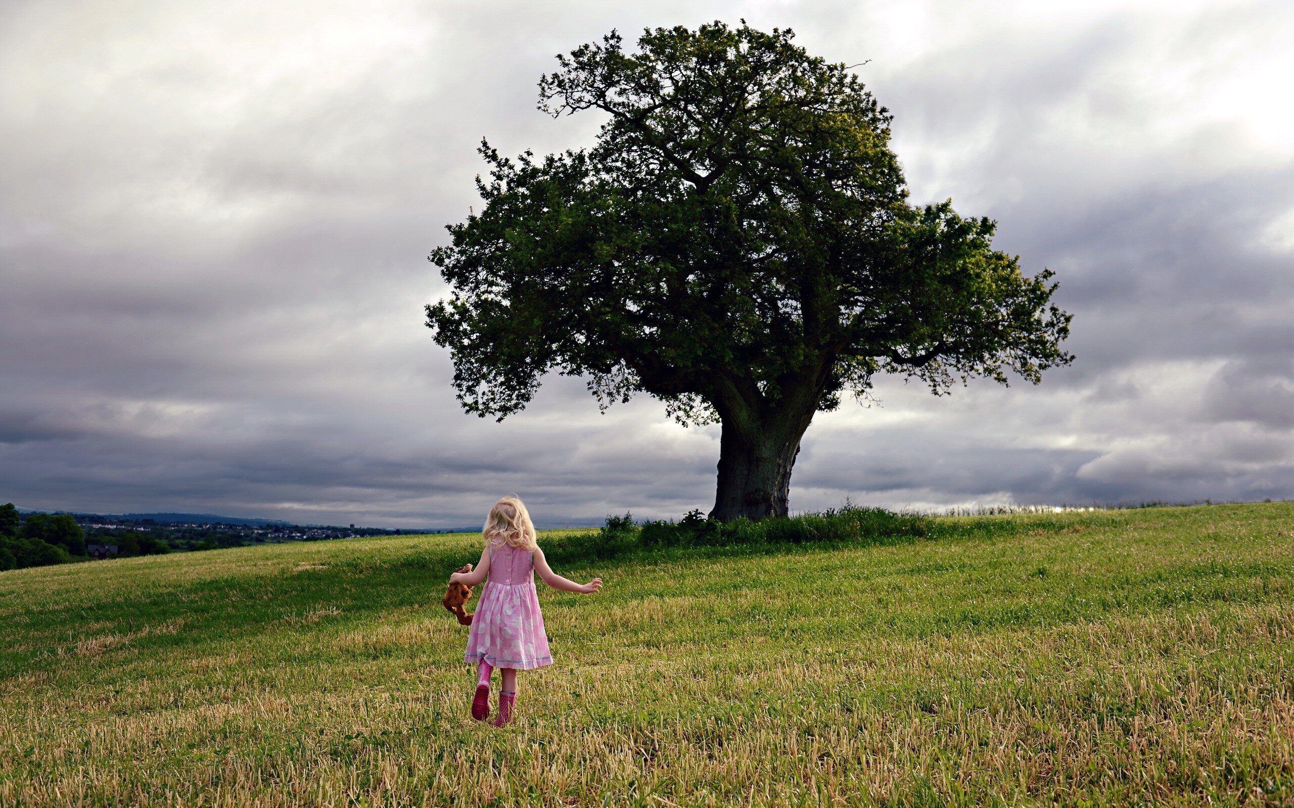 The little girl runs to the tree HD Wallpapers photo