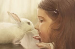 The picture of the girl with the rabbit HD Wallpapers
