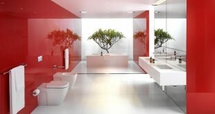 The red color in the design of the bathroom Wallpapers
