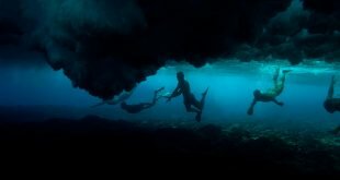 Underwater photography of divers Wallpaper