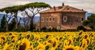 Villa behind the field of sunflowers Wallpaper
