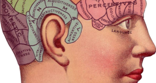 Vintage Brain Advertisement Idea Memory Psychology Wallpaper