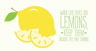 When life throws lemons - Hail free lemons Wallpaper