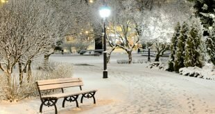 Winter evening in city park Wallpapers