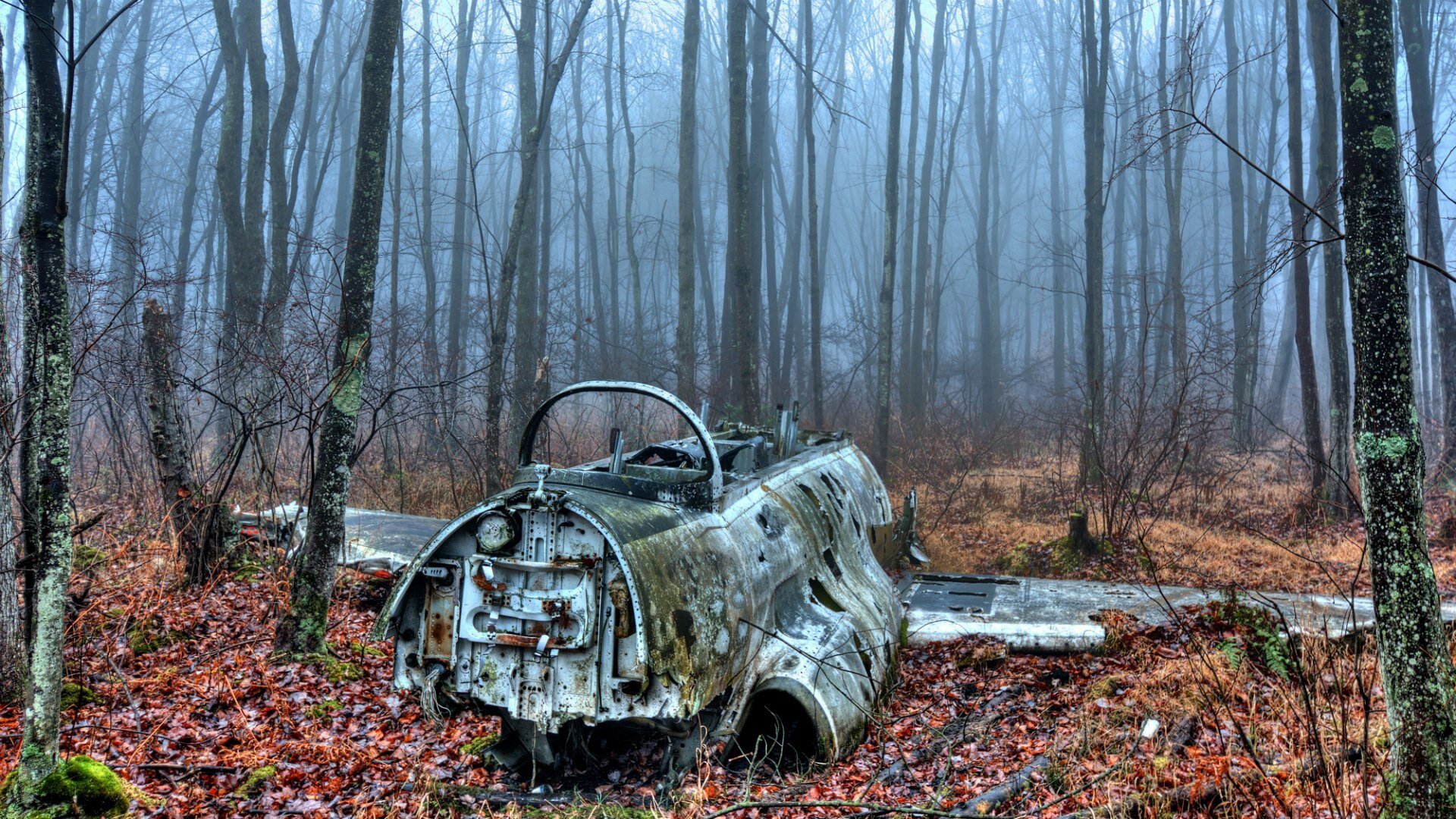 Wreckage in the forest Wallpapers photo