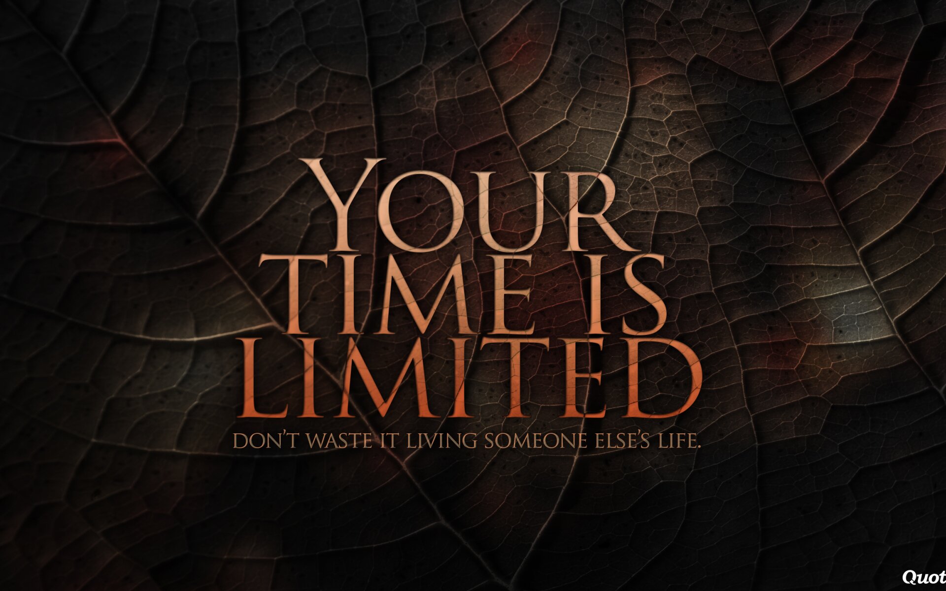 Your time is limited, do not waste it Wallpaper photo