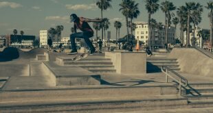 summer sport palms black skateboard skateboarder Wallpaper