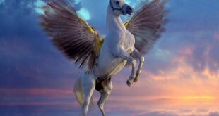 White Pegasus HD Wallpapers